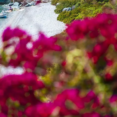 Miradouro Seafront Residences 3* Ήλια