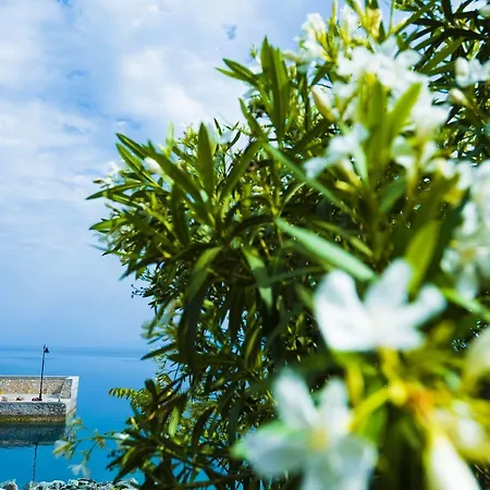 فندق Miradouro Seafront Residences