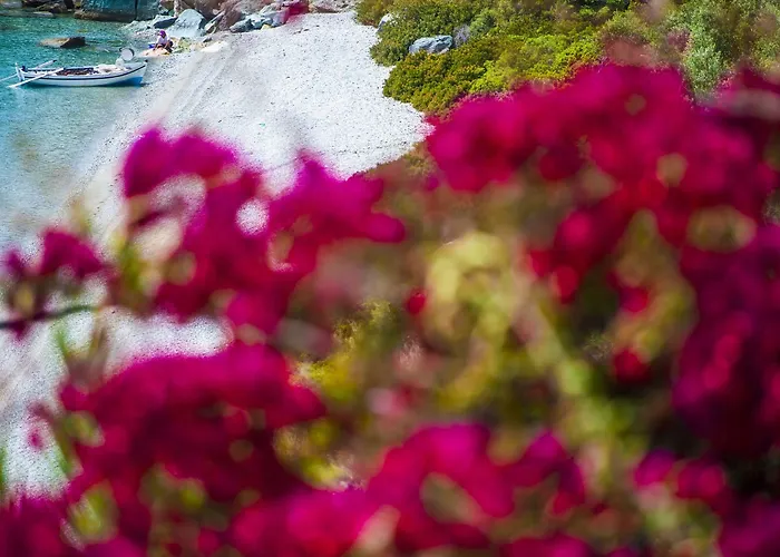 Miradouro Seafront Residences 3* Ília